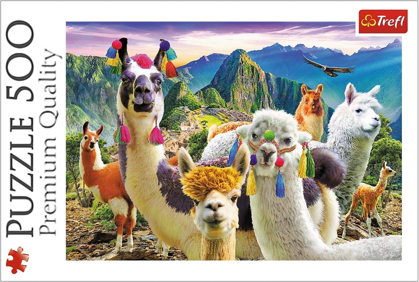 Llamas in the Mountains
