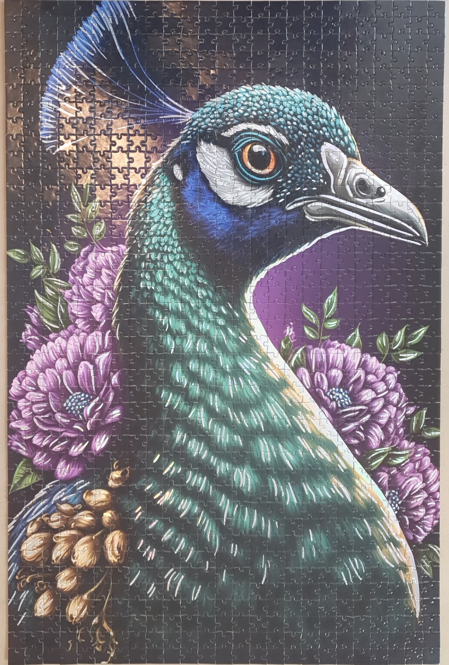 Pfau Bild 2
