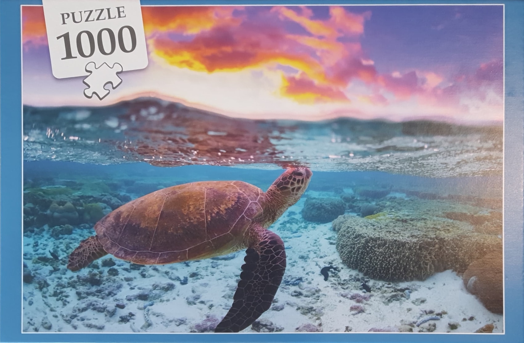 Schildkröte (No. 11 010 271)