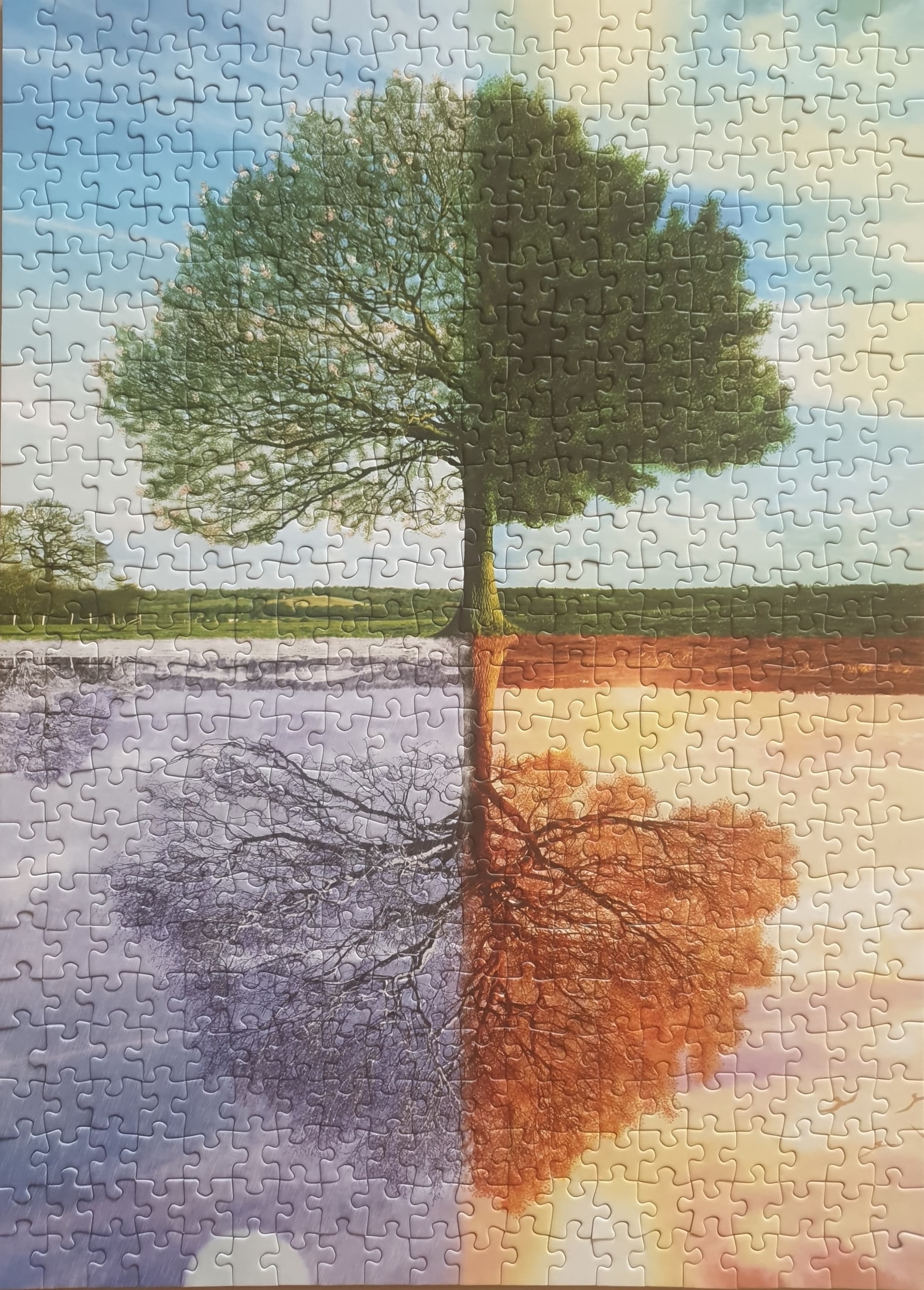 Jahreszeiten Baum Bild 2