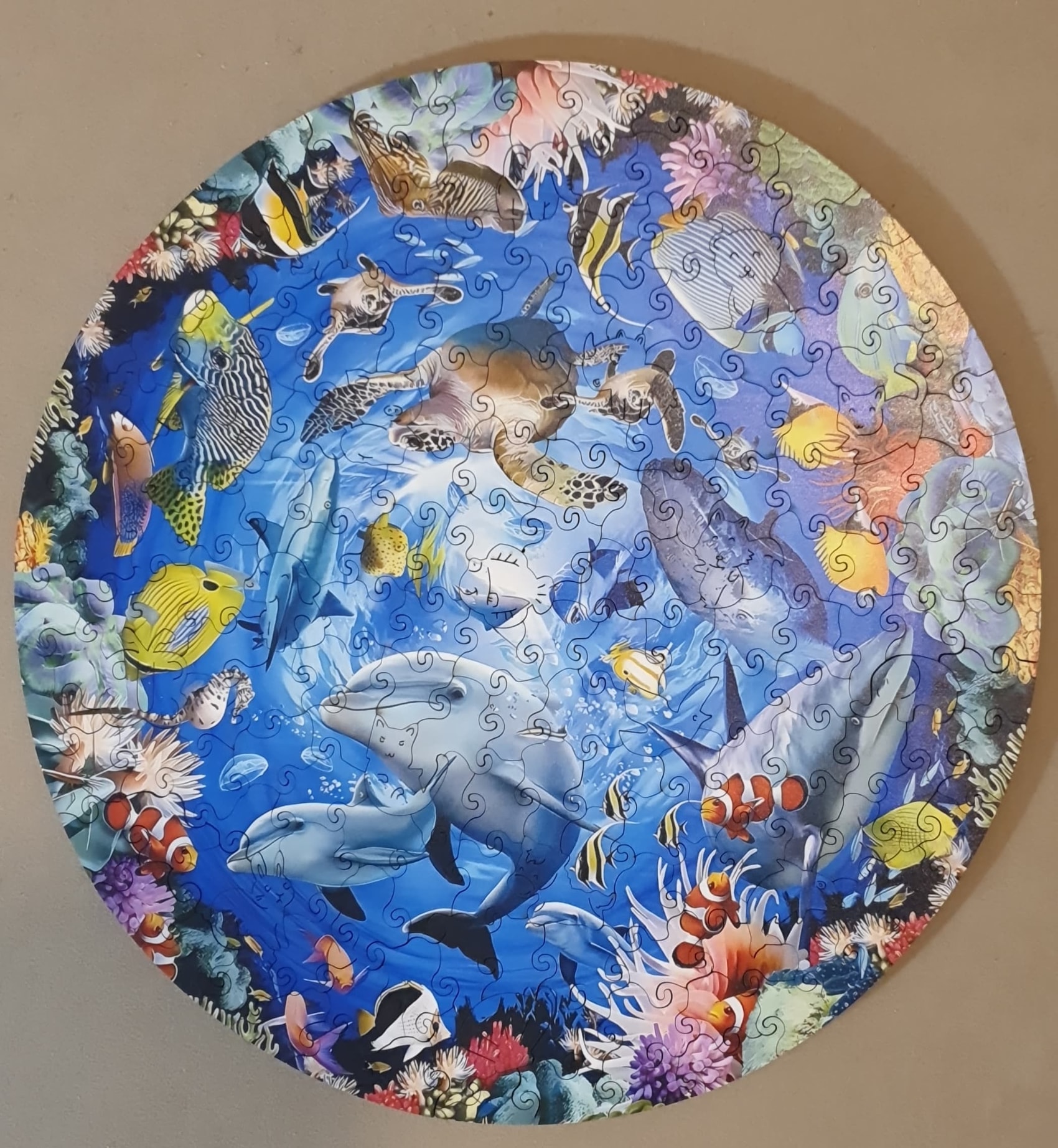 Adobe Scan 16 Dec 2025_1 (2).jpg