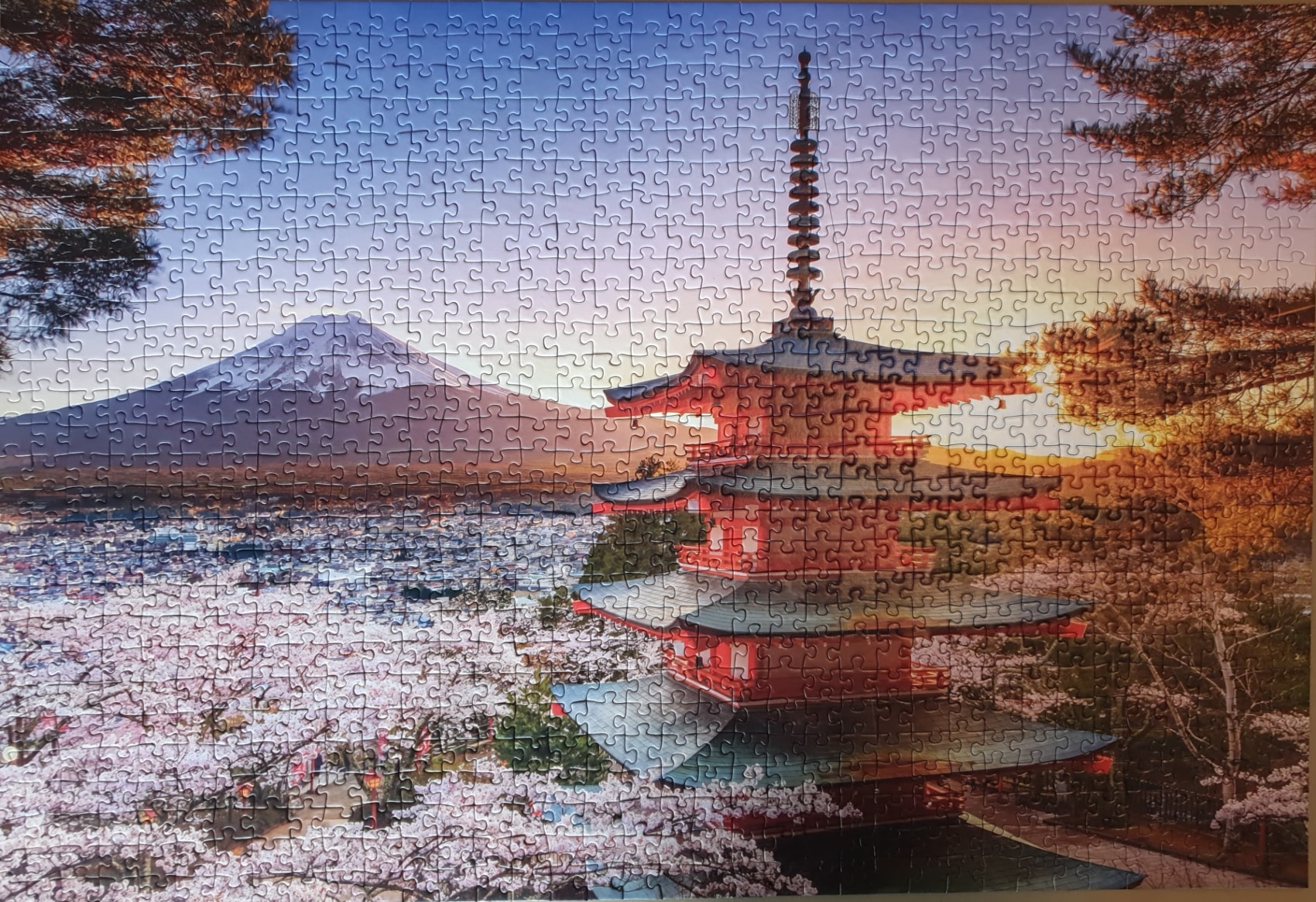 Adobe Scan 31 Oct 2025_1 (1).jpg