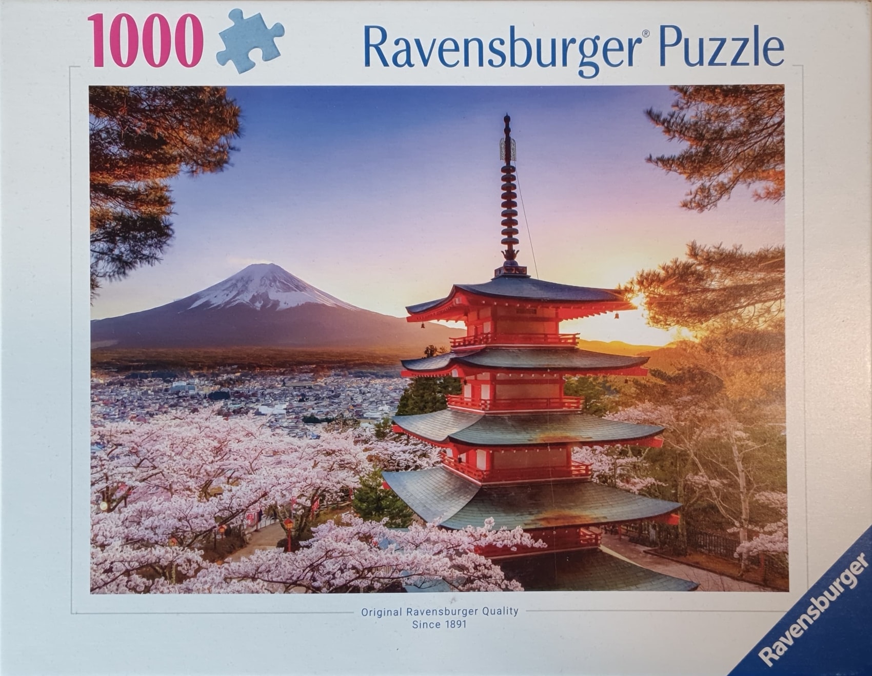 Adobe Scan 31 Oct 2025_1.jpg